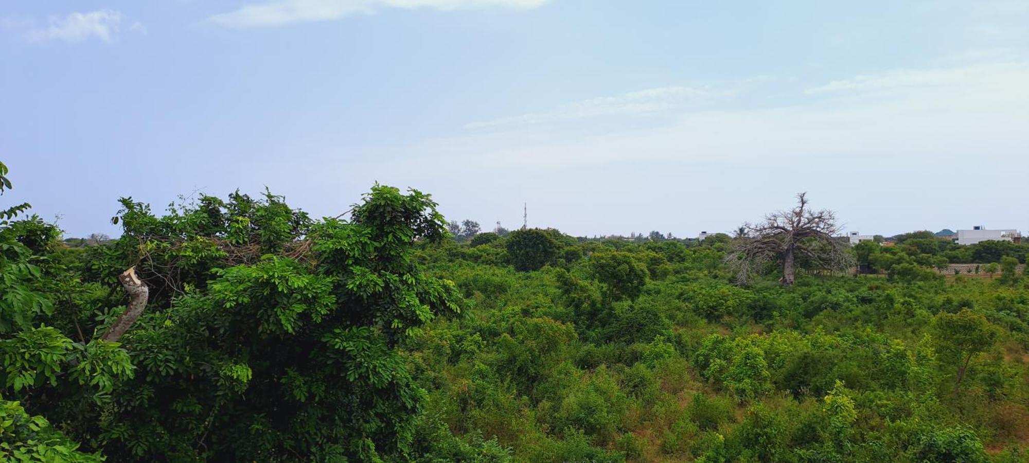 Cave Diani Holiday Apartments Diani Beach Εξωτερικό φωτογραφία